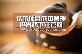 世界杯下注