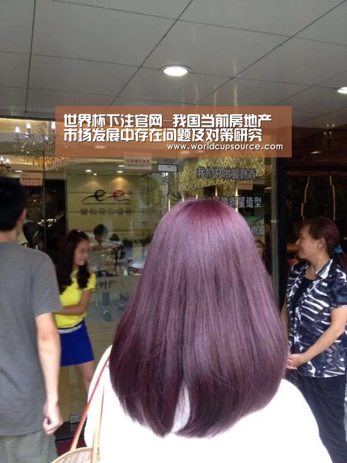 世界杯下注官网-我国当前房地产市场发展中存在问题及对策研究(图3) 世界杯下注