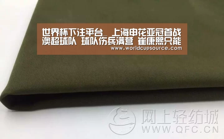 世界杯下注平台_
上海申花亚冠首战澳超球队 球队伤兵满营 崔康熙只能听天由命?(图4) 世界杯下注官网