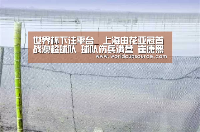 世界杯下注平台_
上海申花亚冠首战澳超球队 球队伤兵满营 崔康熙只能听天由命?(图3) 世界杯下注平台