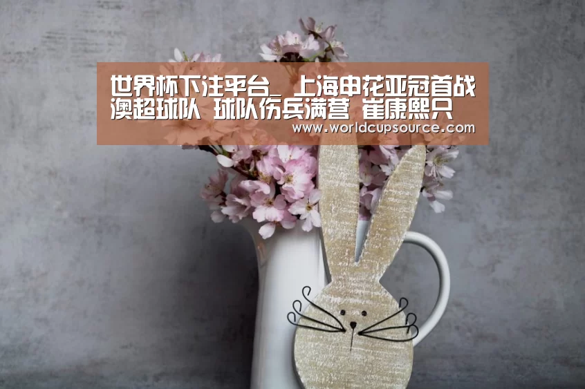 世界杯下注平台_
上海申花亚冠首战澳超球队 球队伤兵满营 崔康熙只能听天由命?(图5) 世界杯下注平台
