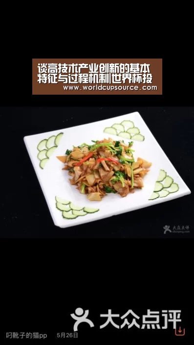 谈高技术产业创新的基本特征与过程机制|世界杯投注网(图1) 世界杯下注平台