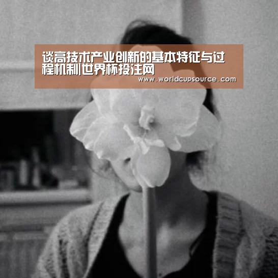 谈高技术产业创新的基本特征与过程机制|世界杯投注网(图2) 世界杯下注官网