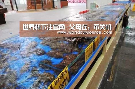 世界杯下注官网-父母在,不关机(图3) 世界杯下注平台