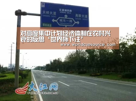 对高度集中计划经济体制在农村兴衰的反思‘世界杯下注’(图2) 世界杯下注平台