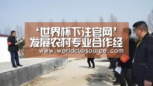 世界杯下注平台